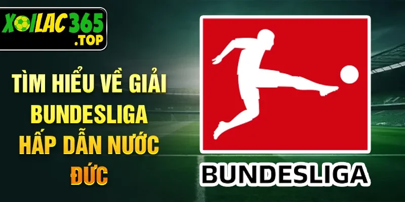 Tìm hiểu về giải Bundesliga hấp dẫn nước Đức